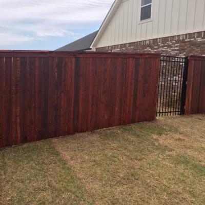 Wood Fence